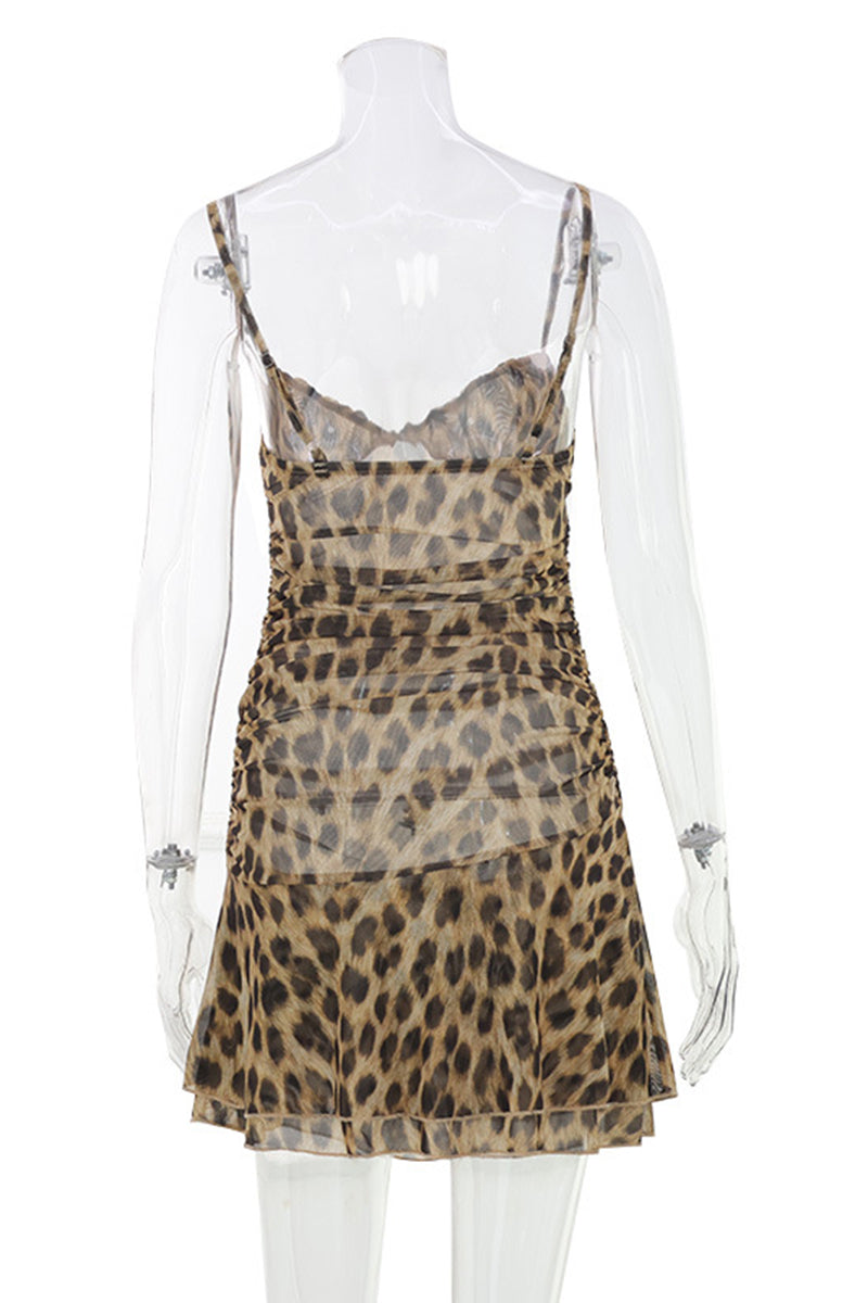 LEOPARD (6).jpg
