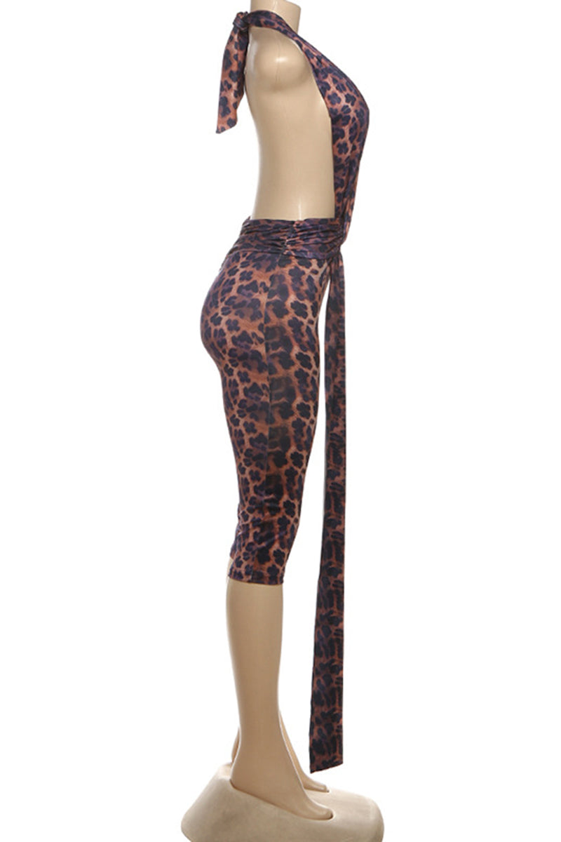 LEOPARD (3).jpg