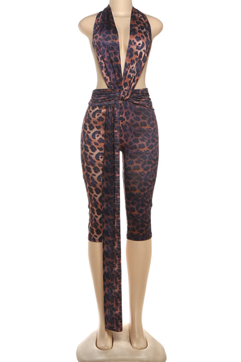 LEOPARD (2).jpg