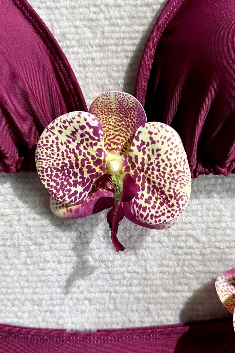 PURPLE (5).jpg